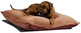 Divan Uno orthopädisches Kissen für große Hunde mit Latexfüllung 90 x 110 cm
