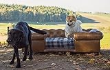 Casa Padrino Luxus Chesterfield Leder Hundebett Vintage Braun/Dunkelbraun/Mehrfarbig 134 x 104 x H. 37 cm - Rechteckiges Echtleder Hundebett - Luxus Chesterfield Leder Tiermöbel